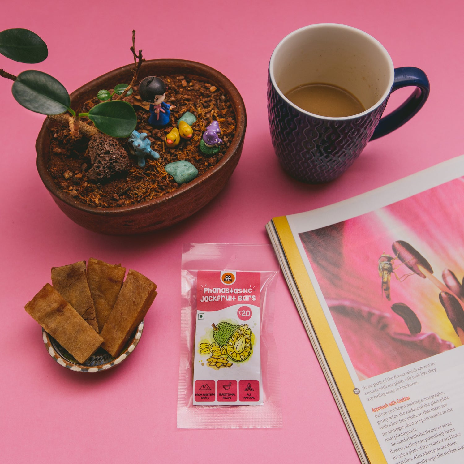 GO DESi Jackfruit Bar