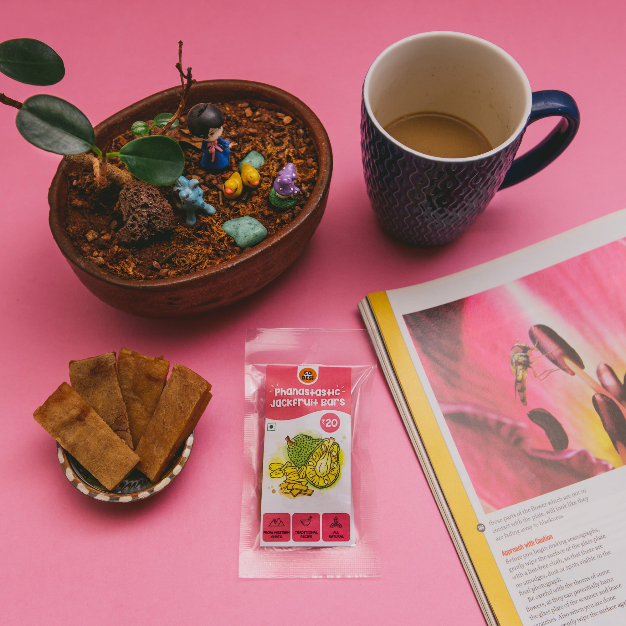 GO DESi Jackfruit Bar