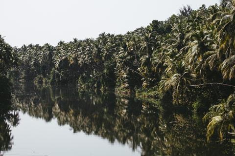 GO DESi - Monsoon in Malnad